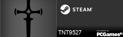 TNT9527 Steam Signature