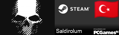 Saldirolum Steam Signature