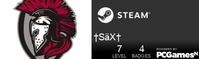 †SäX† Steam Signature