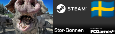Stor-Bonnen Steam Signature