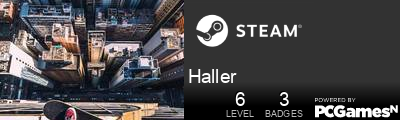 Haller Steam Signature