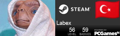 Labex Steam Signature