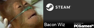 Bacon Wiz Steam Signature