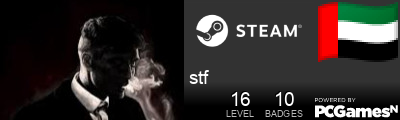 stf Steam Signature