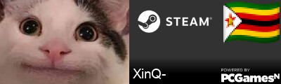 XinQ- Steam Signature