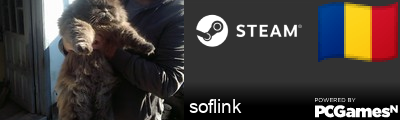 soflink Steam Signature