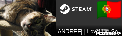 ANDREEj | Level Up Service Steam Signature