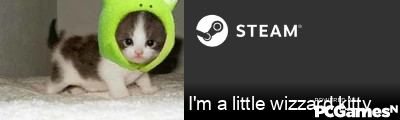 I'm a little wizzard kitty Steam Signature