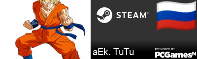 aEk. TuTu Steam Signature