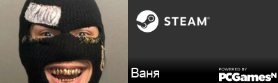 Baня Steam Signature