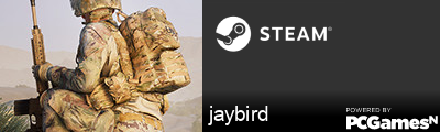 jaybird Steam Signature