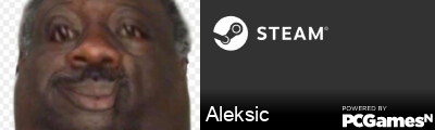 Aleksic Steam Signature