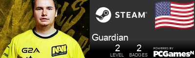 Guardian Steam Signature