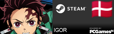 IGOR Steam Signature