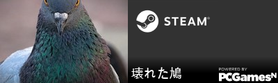 壊れた鳩 Steam Signature