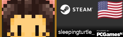 sleepingturtle_ Steam Signature