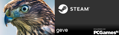 geve Steam Signature