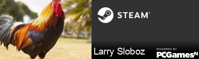 Larry Sloboz Steam Signature