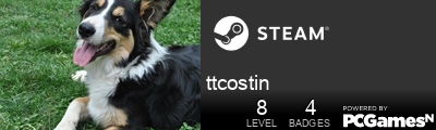 ttcostin Steam Signature