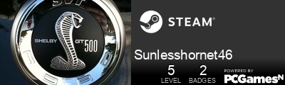 Sunlesshornet46 Steam Signature