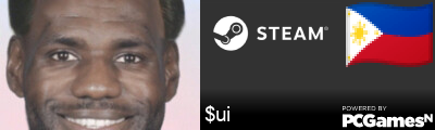 $ui Steam Signature