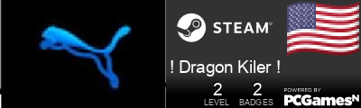 ! Dragon Kiler ! Steam Signature
