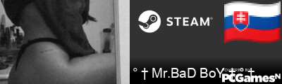 ° † Mr.BaD BoY † ° † Steam Signature