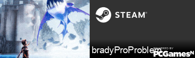 bradyProProblem Steam Signature