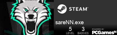 sareNN.exe Steam Signature