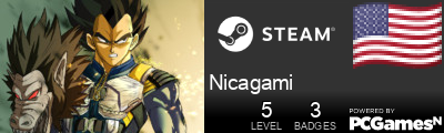Nicagami Steam Signature