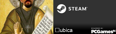 Șubica Steam Signature