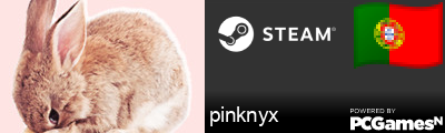 pinknyx Steam Signature