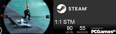 1:1 STM Steam Signature