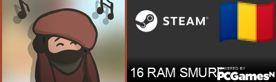16 RAM SMURF Steam Signature