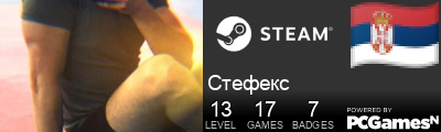 Стефекс Steam Signature