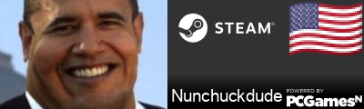 Nunchuckdude Steam Signature