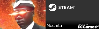 Nechita Steam Signature