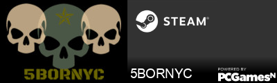 5BORNYC Steam Signature