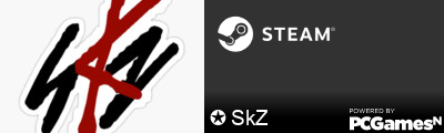 ✪ SkZ Steam Signature