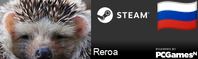 Reroa Steam Signature