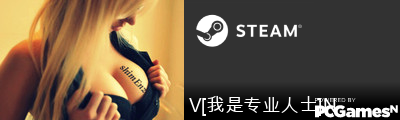 V[我是专业人士]N Steam Signature