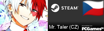 Mr. Taler (CZ) Steam Signature