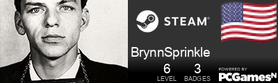 BrynnSprinkle Steam Signature
