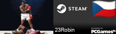 23Robin Steam Signature