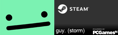 guy. (storm) Steam Signature