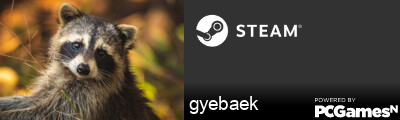 gyebaek Steam Signature