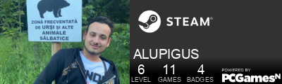 ALUPIGUS Steam Signature