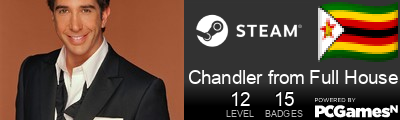 Chandler from Full House Steam Signature