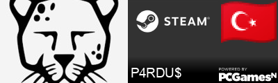 P4RDU$ Steam Signature