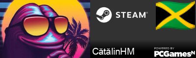 CătălinHM Steam Signature